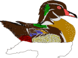 WoodDuck Logo